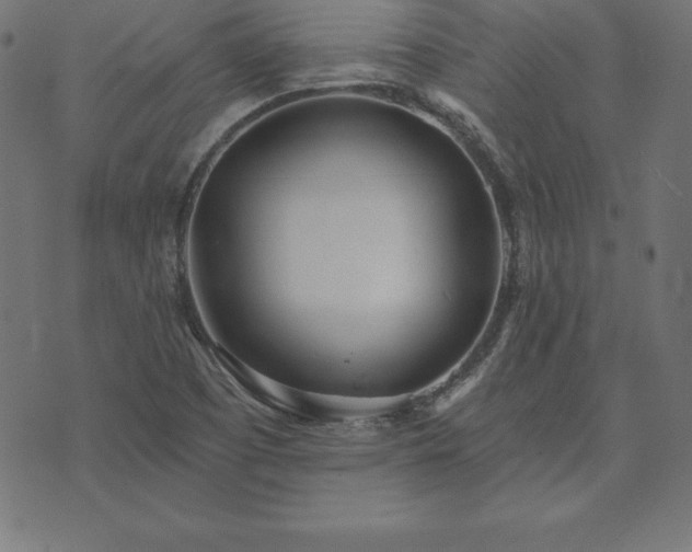 X0000073871457200608170955