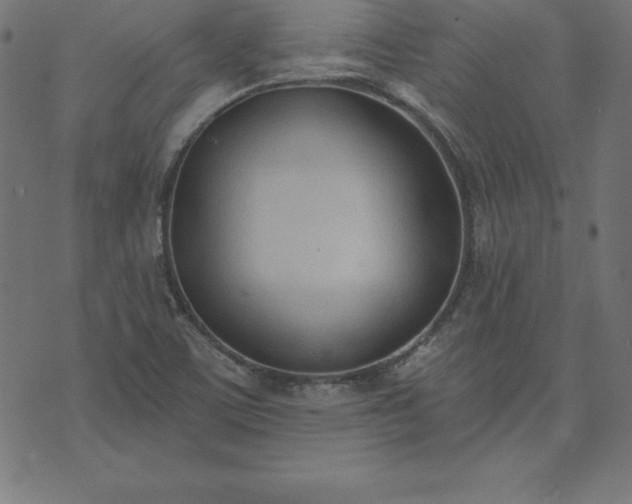 X0000073871459200608170955