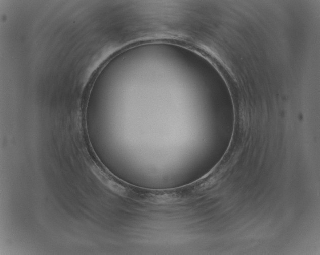 X0000073871460200608170955