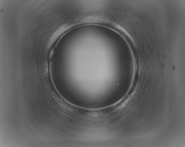 X0000073871461200608170955