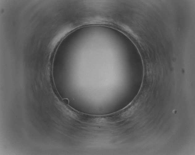 X0000073871463200608170955