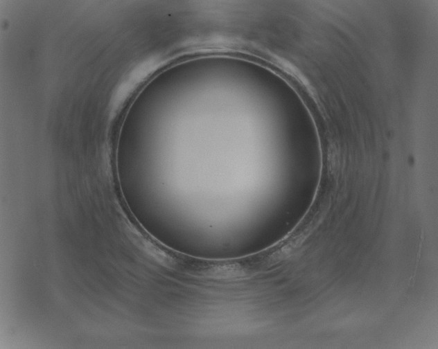 X0000073871464200608170955