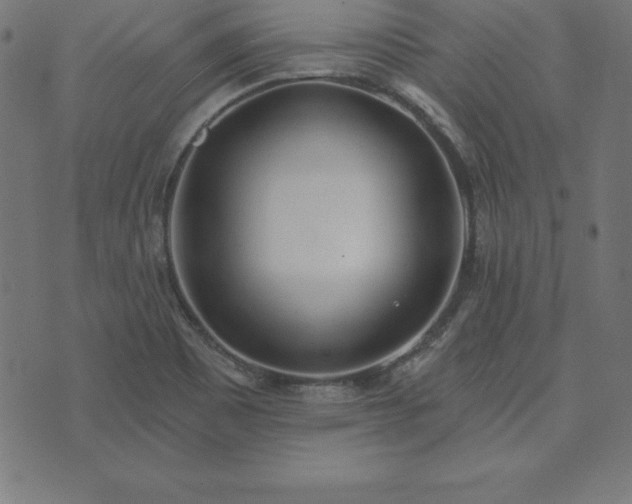 X0000073871465200608170955