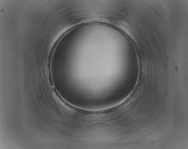 X0000073871468200608170955