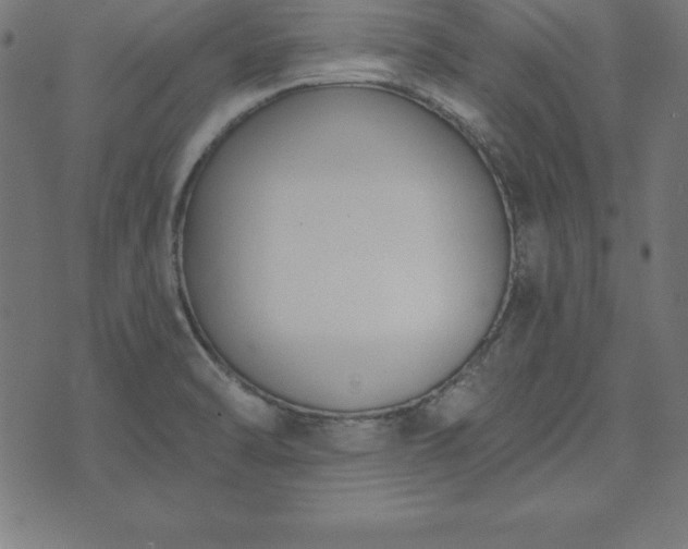 X0000073871470200608170955