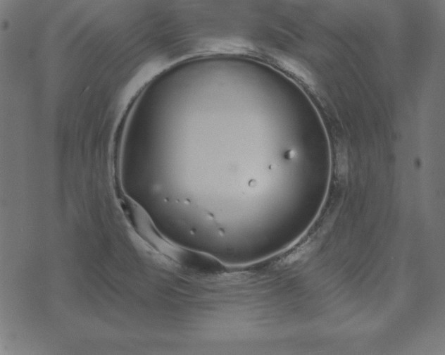 X0000073871471200608170955