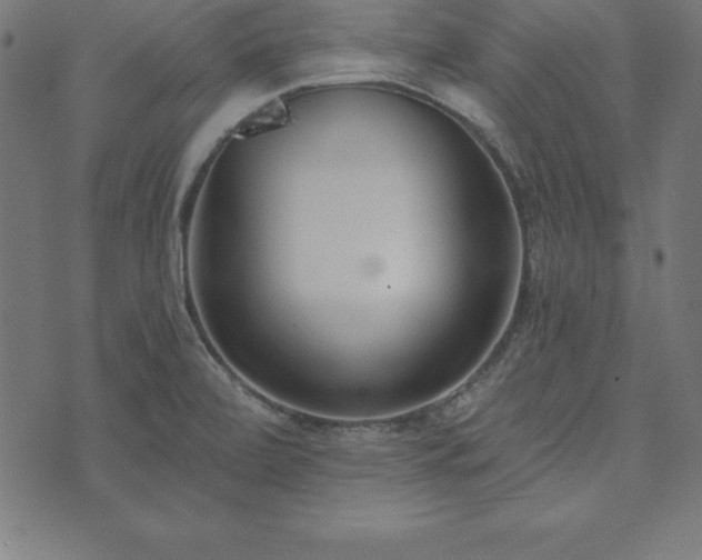 X0000073871472200608170955