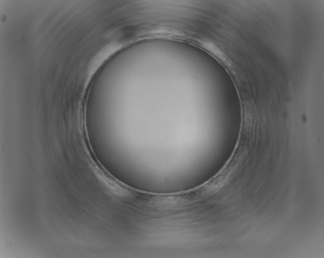 X0000073871474200608170955