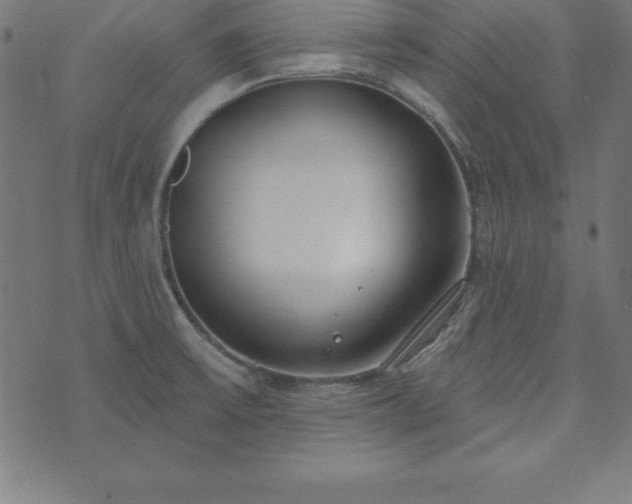 X0000073871475200608170955