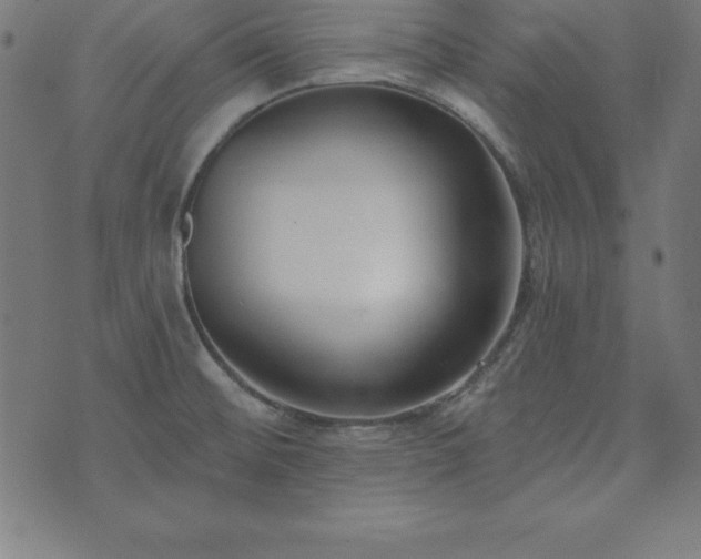 X0000073871476200608170955