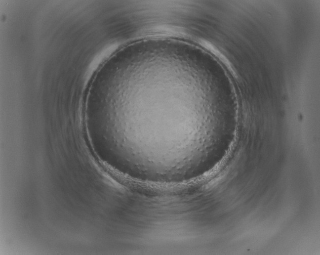 X0000073871477200608170955