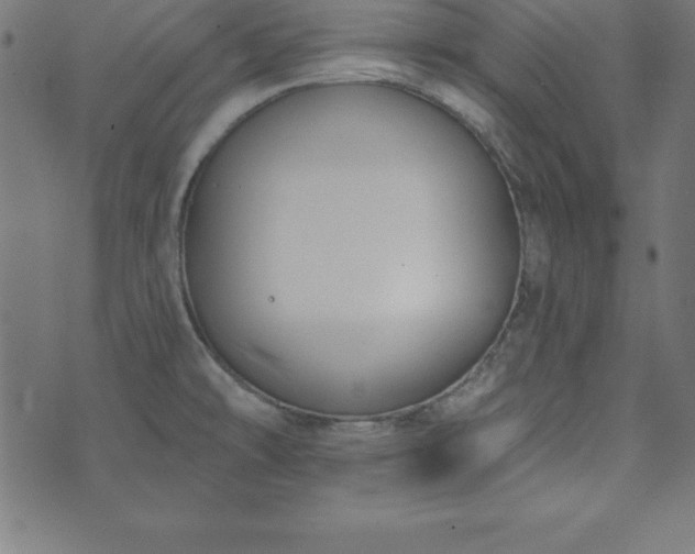 X0000073871478200608170955