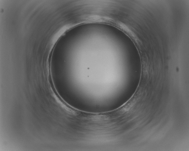 X0000073871479200608170955