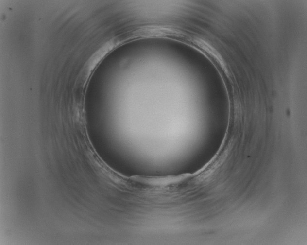 X0000073871481200608170955