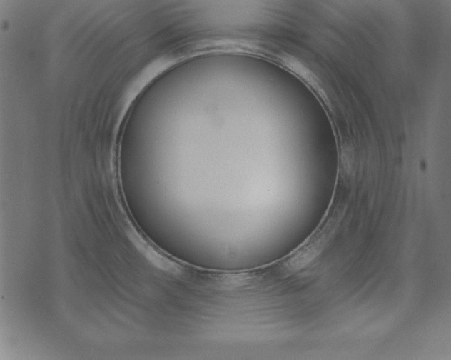 X0000073871482200608170955