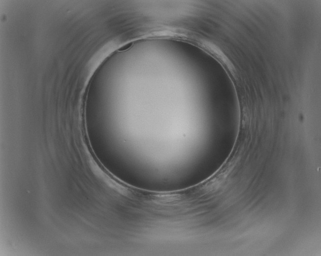 X0000073871483200608170955