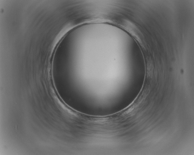 X0000073871484200608170955