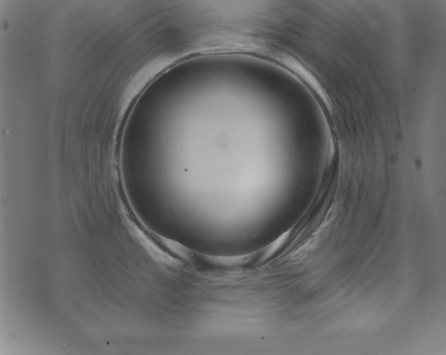 X0000073871485200608170955