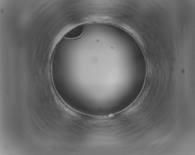 X0000073871486200608170955