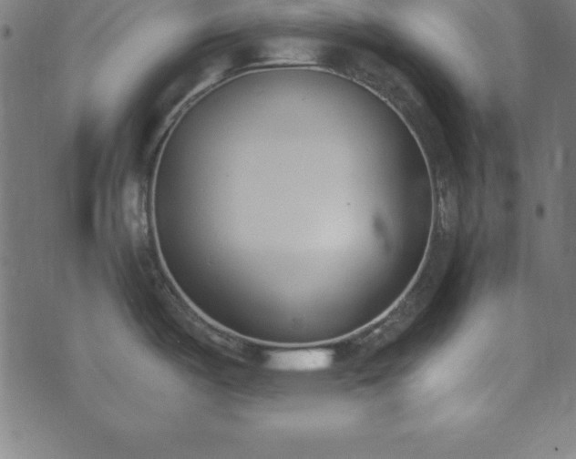 X0000073871487200608170955