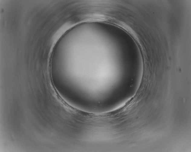 X0000073871488200608170955