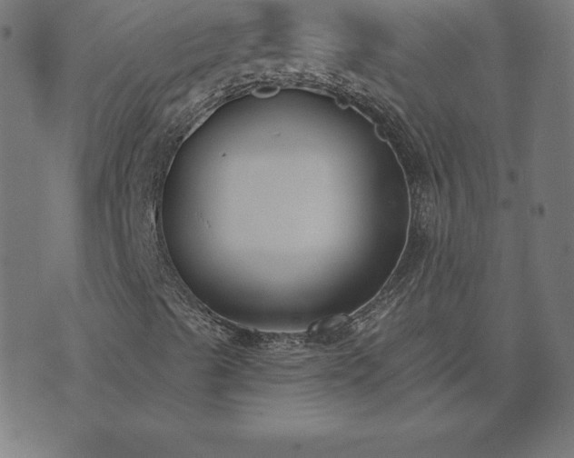 X0000073871489200608170954