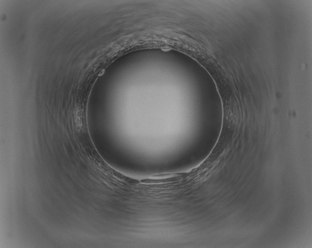 X0000073871490200608170954