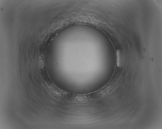 X0000073871491200608170954