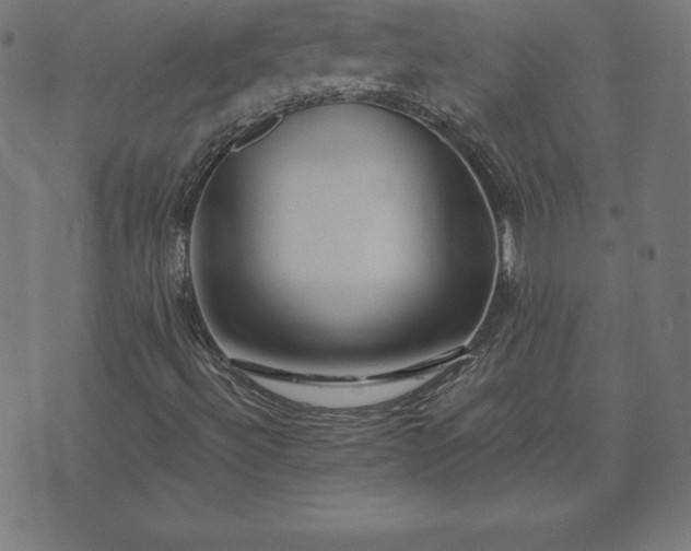 X0000073871492200608170954