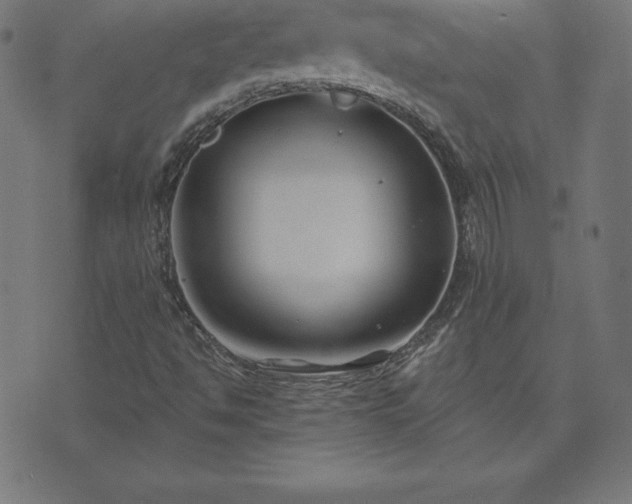 X0000073871494200608170954