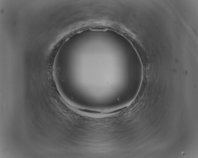 X0000073871496200608170954