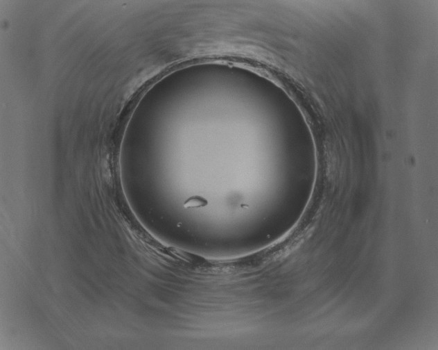 X0000073871497200608170954