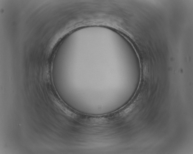 X0000073871498200608170954