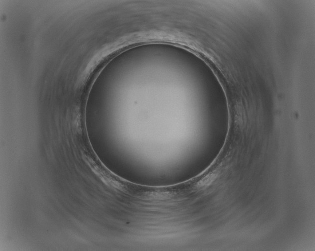 X0000073871499200608170954