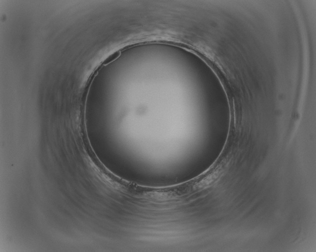 X0000073871500200608170954