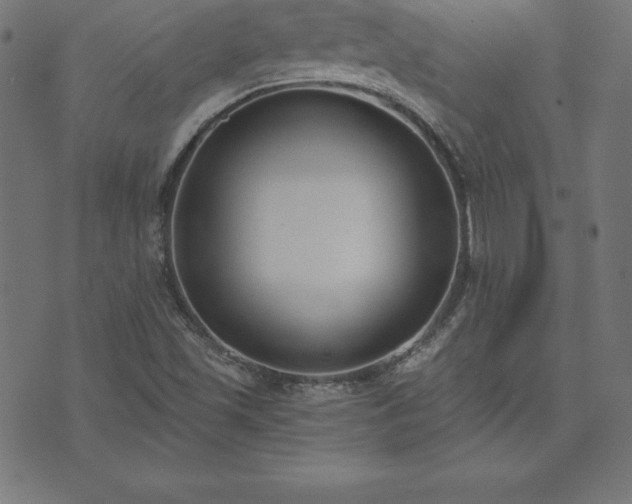 X0000073871501200608170954