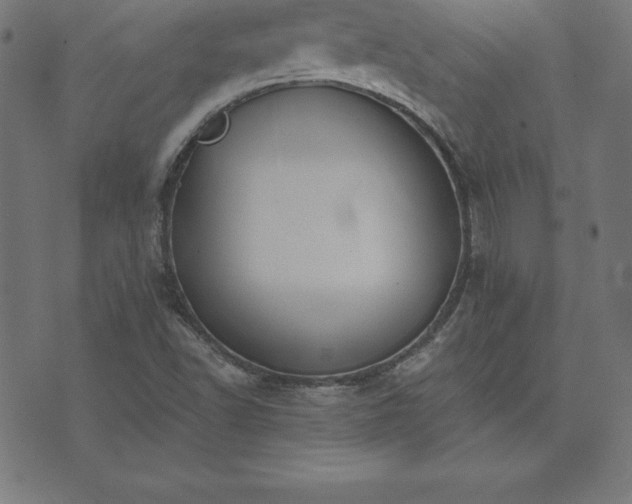 X0000073871502200608170954