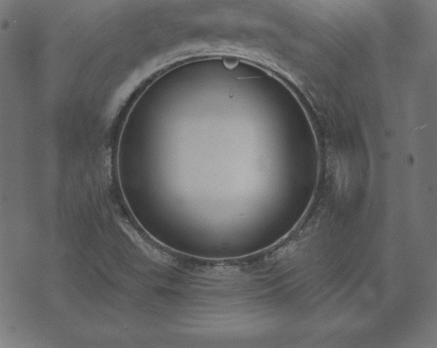 X0000073871503200608170954