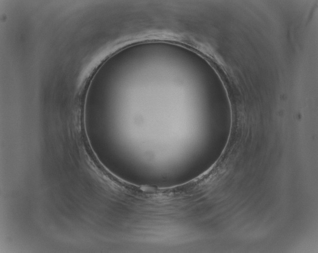 X0000073871504200608170954