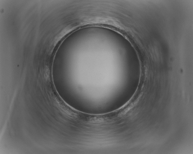 X0000073871505200608170954