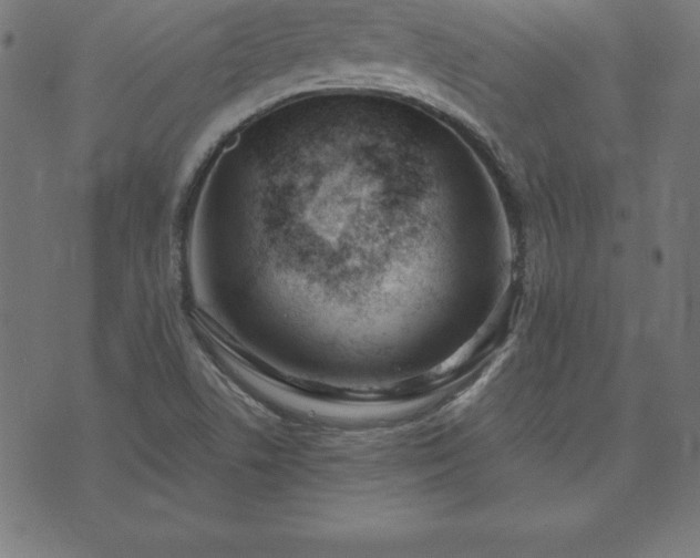 X0000073871506200608170954