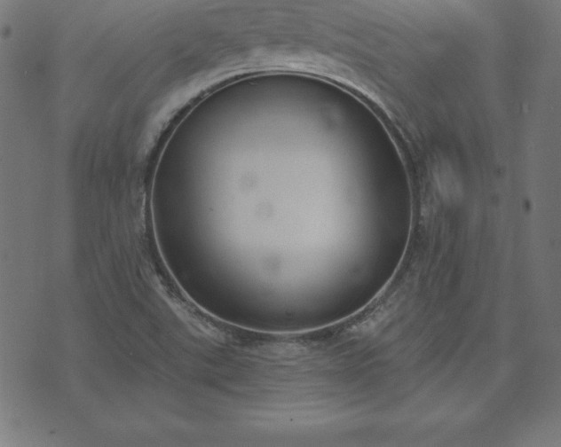 X0000073871507200608170954