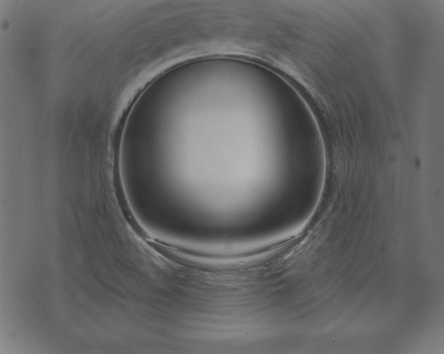 X0000073871508200608170954