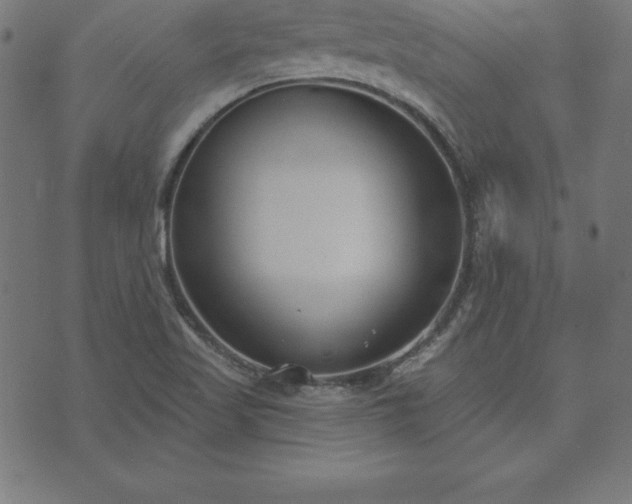 X0000073871509200608170954