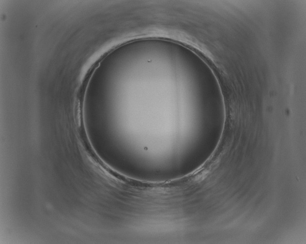 X0000073871510200608170954