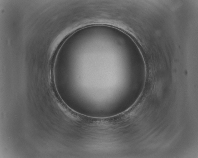 X0000073871511200608170954