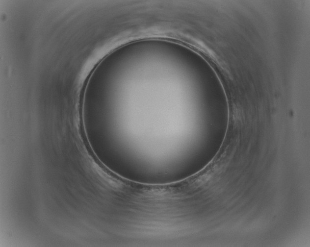 X0000073871512200608170954