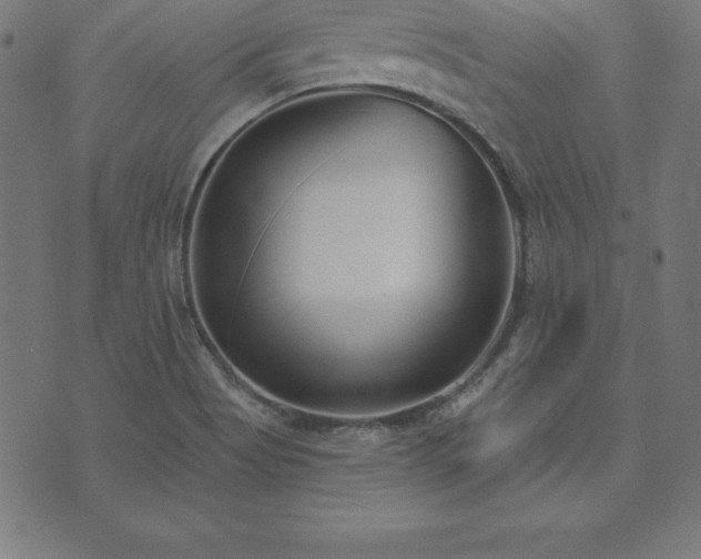 X0000073871513200608170954