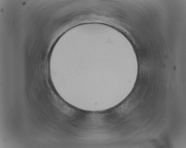 X0000073871514200608170954