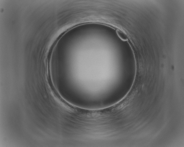 X0000073871515200608170954